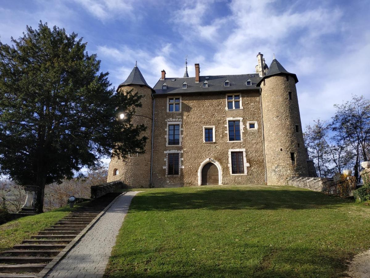 Appartement Chateau Uriage-Chamrousse Saint-Martin-d'Uriage Ngoại thất bức ảnh