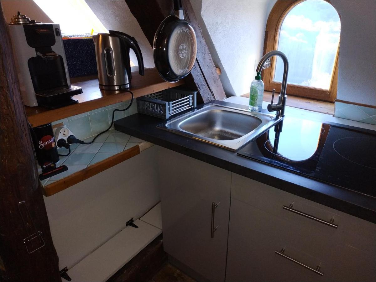 Appartement Chateau Uriage-Chamrousse Saint-Martin-d'Uriage Ngoại thất bức ảnh